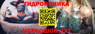 эйфоретик Новозыбков