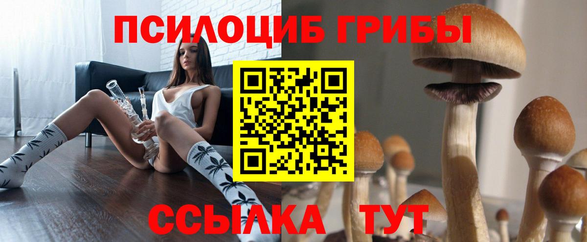 Галлюциногенные грибы Psilocybe Иркутск